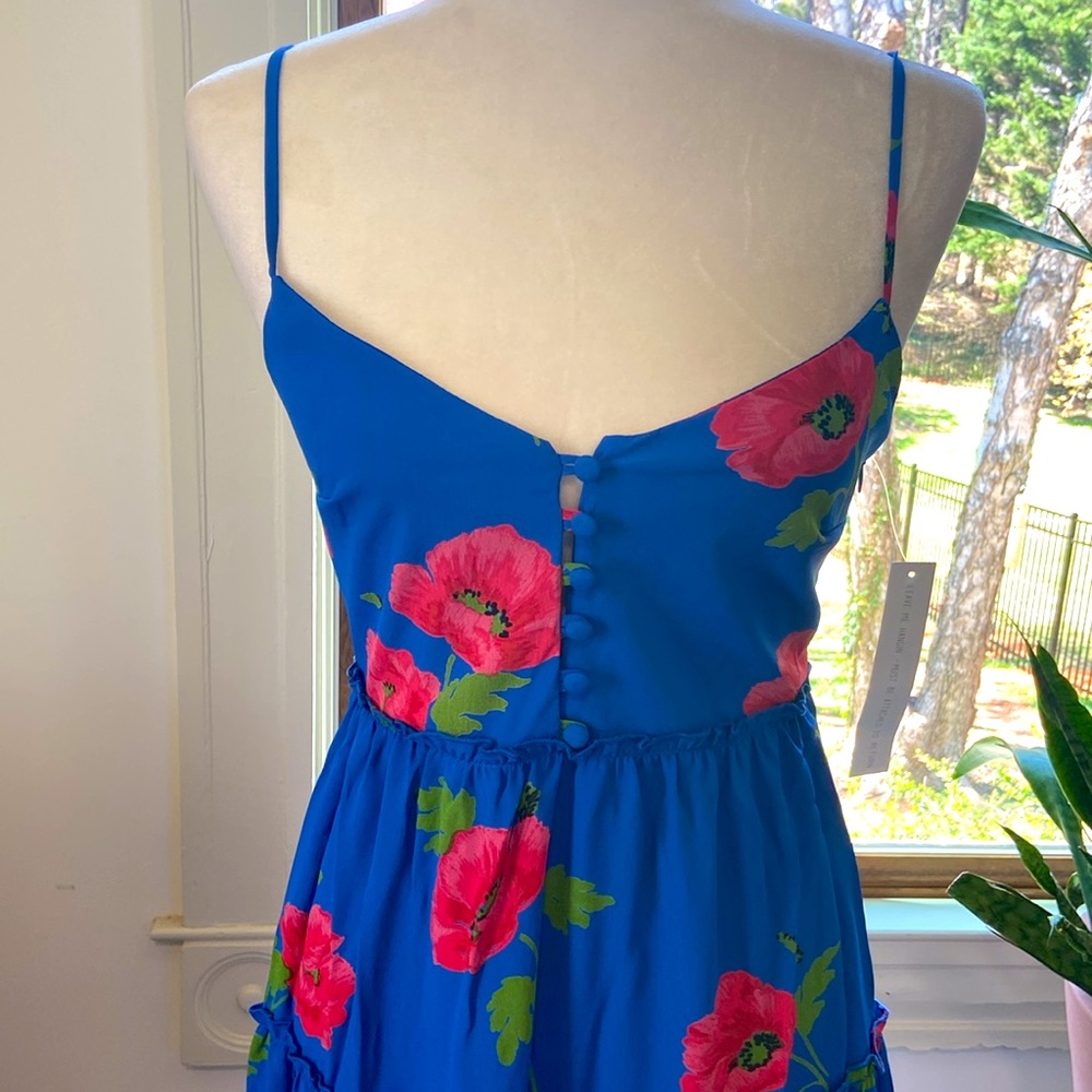 NWT beautiful Flynn Skye blue floral maxi dress size XS - Picture 5 of 9